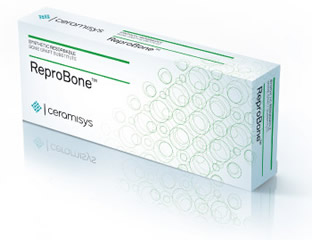 ReproBone bone graft substitute